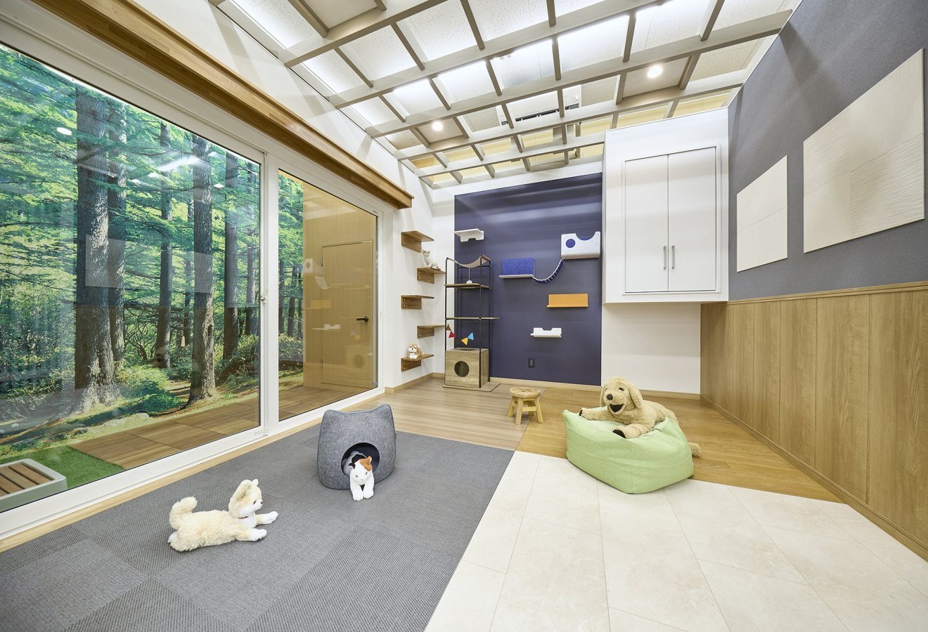 ペットリフォーム